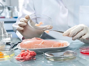 Микробиология продовольственных и непродовольственных товаров, воды, воздуха и почвы (72 часа)